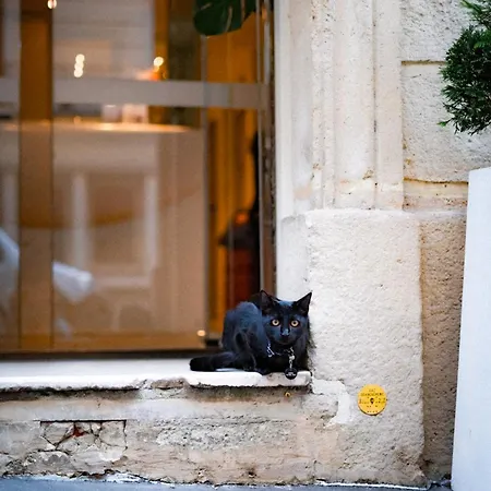 Vendome Saint-germain Paris