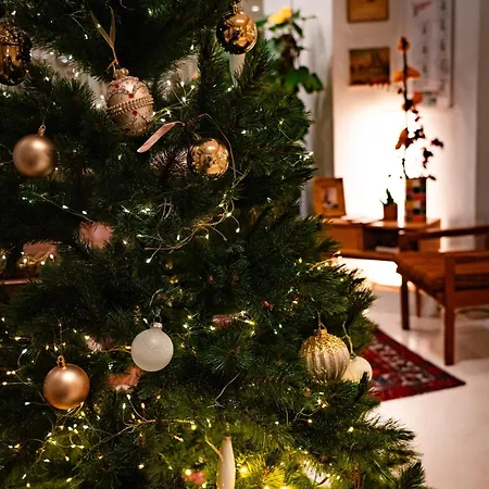 Vendome Saint-germain Hotel