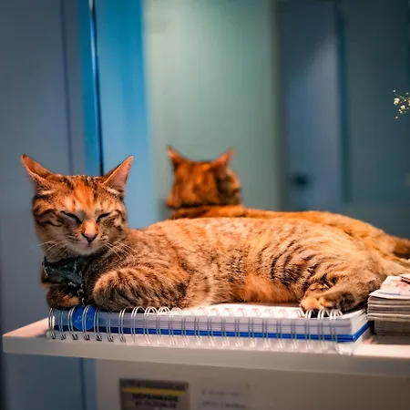 Vendome Saint-germain Hotel 3*