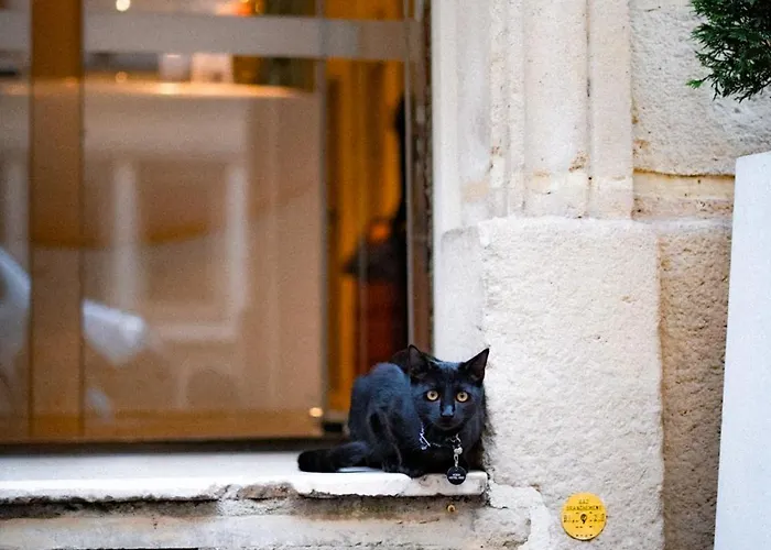 Vendome Saint-germain Paris