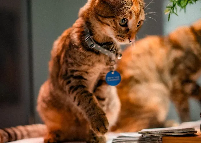 Hotel Vendome Saint-germain