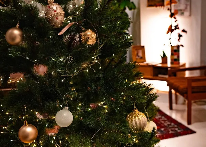 Vendome Saint-germain Hotel