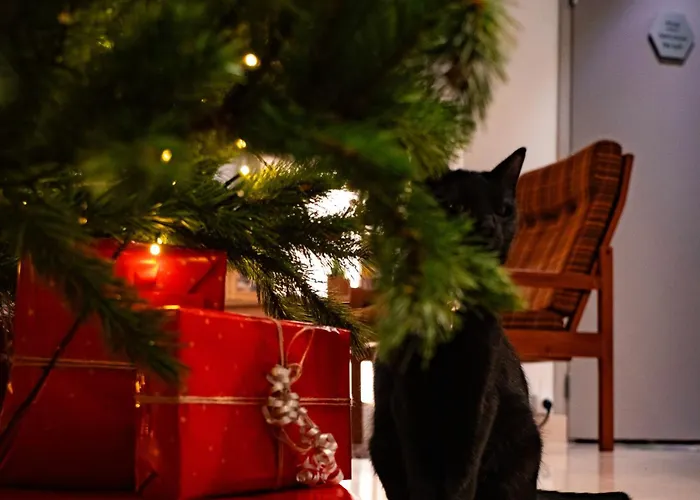 Otel Vendome Saint-germain