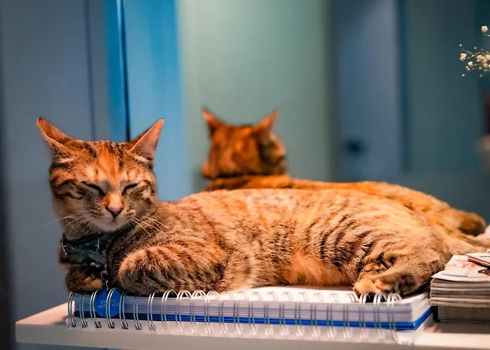 Vendome Saint-germain Hotel 3*